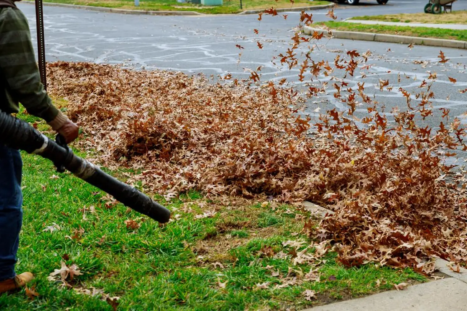 Gartenreinigung Novak Clean